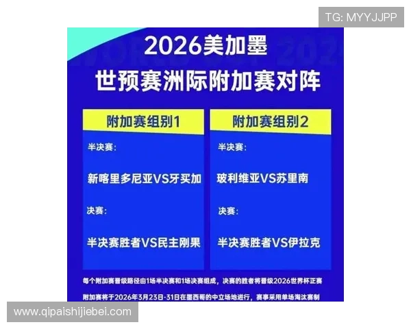 2026年世界杯参赛球队数量详细解析及未来参赛队伍预测