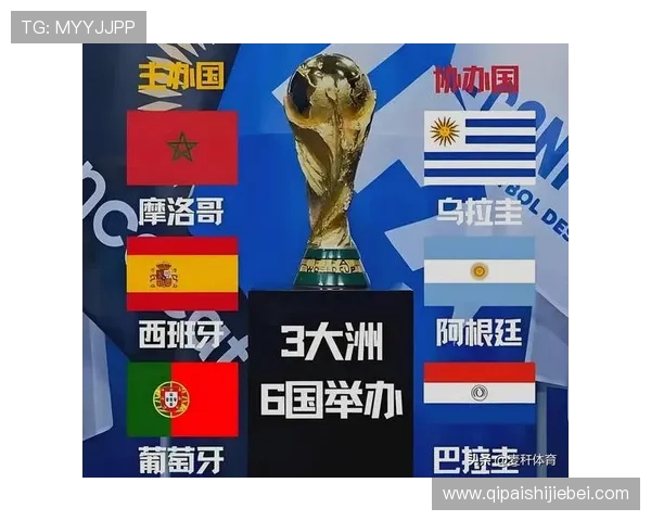 2026年世界杯举办国家名单公布，涉及哪些国家和地区的详细分析