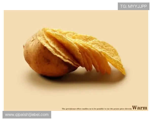 巧克力世界杯比赛作品：从创意到执行的完整流程，助你举办成功的甜品比赛