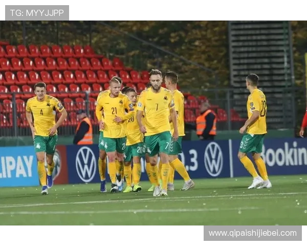 欧洲预选赛世界杯规则指南：比赛安排、晋级条件及裁判标准详细介绍